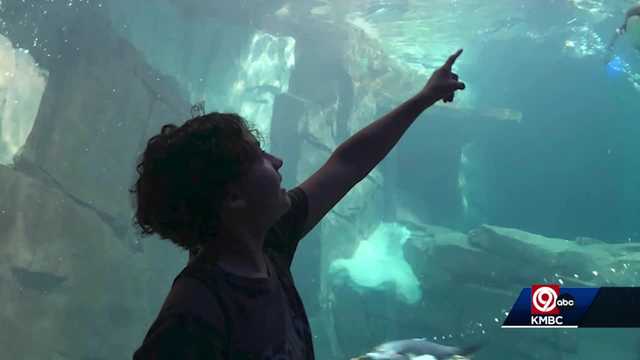 Kansas City Dream Factory sends Max Phillips, family on trip to Florida - Vimarsana News