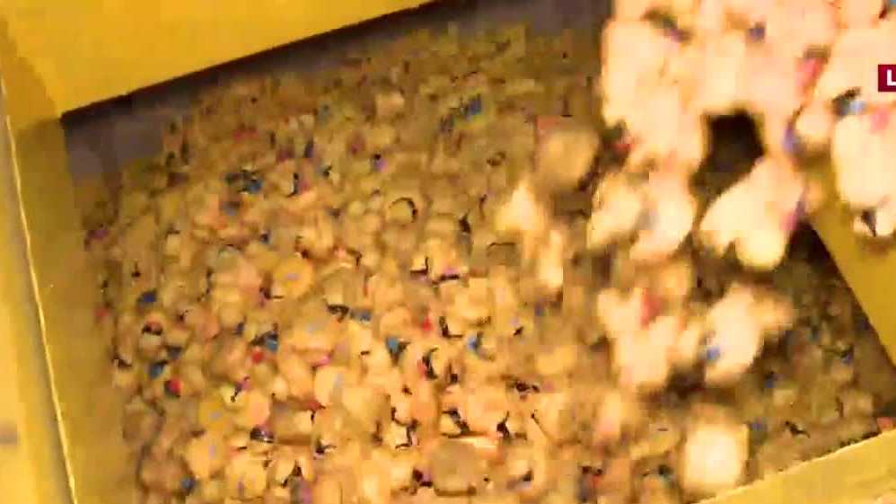 WATCH: UPS loads 46,000 rubber ducks ahead of Harbor House KenDucky Derby - Vimarsana News