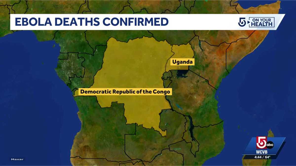 Discussing ebola outbreak in Africa with an infectious disease specialist