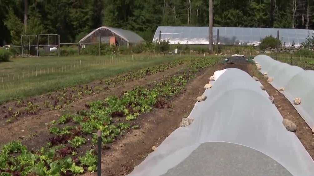 Organic farmers hope for more help from Washington in farm bill