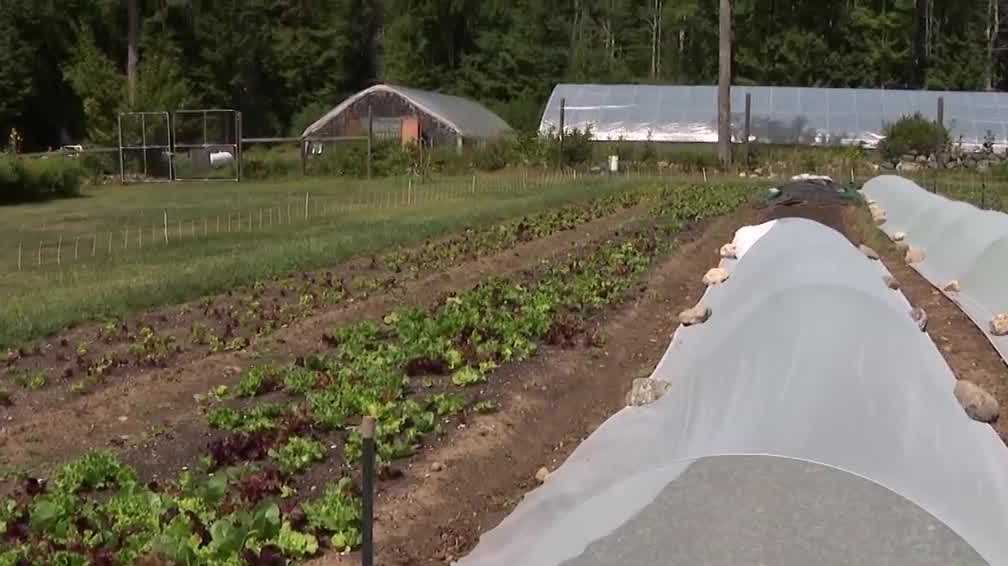 NH organic farmers discuss effects of cuts to USDA programs