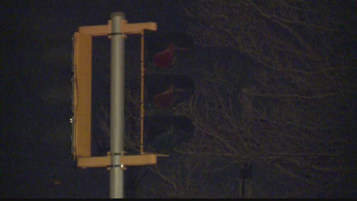 Fallen tree limb causes power outage in Oak Creek area