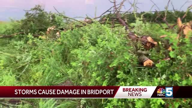 Bridport hit hard by Thursday's thunderstorm - Vimarsana News