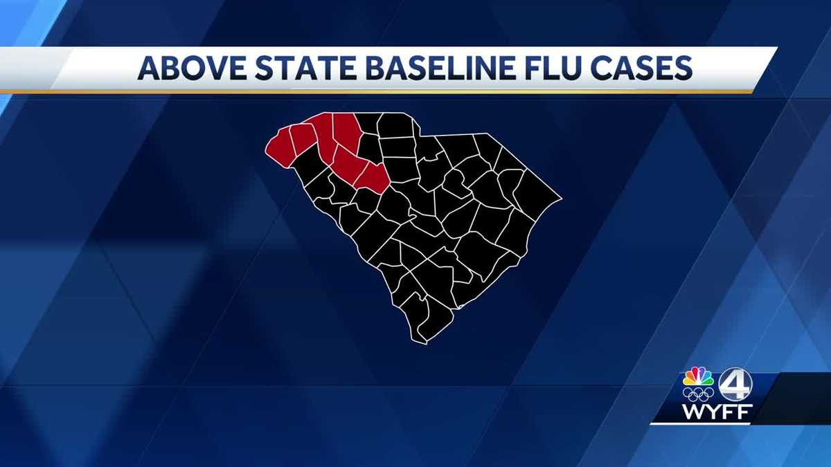 Carolina del Sud: aumentano i decessi per influenza