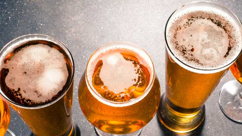 Tracy's Morgan Territory Brewing celebrates global beer wins