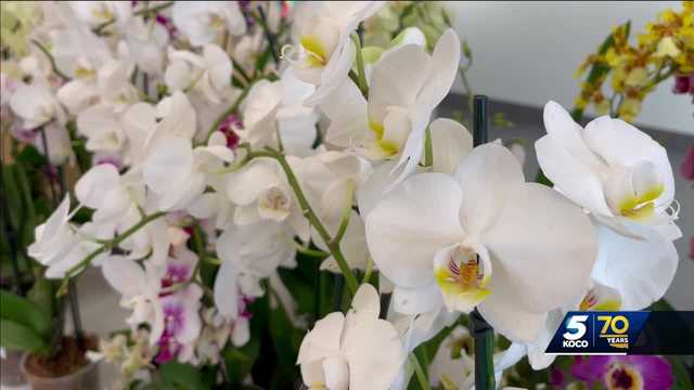 Is it too early to plant a garden in Oklahoma? - Vimarsana News