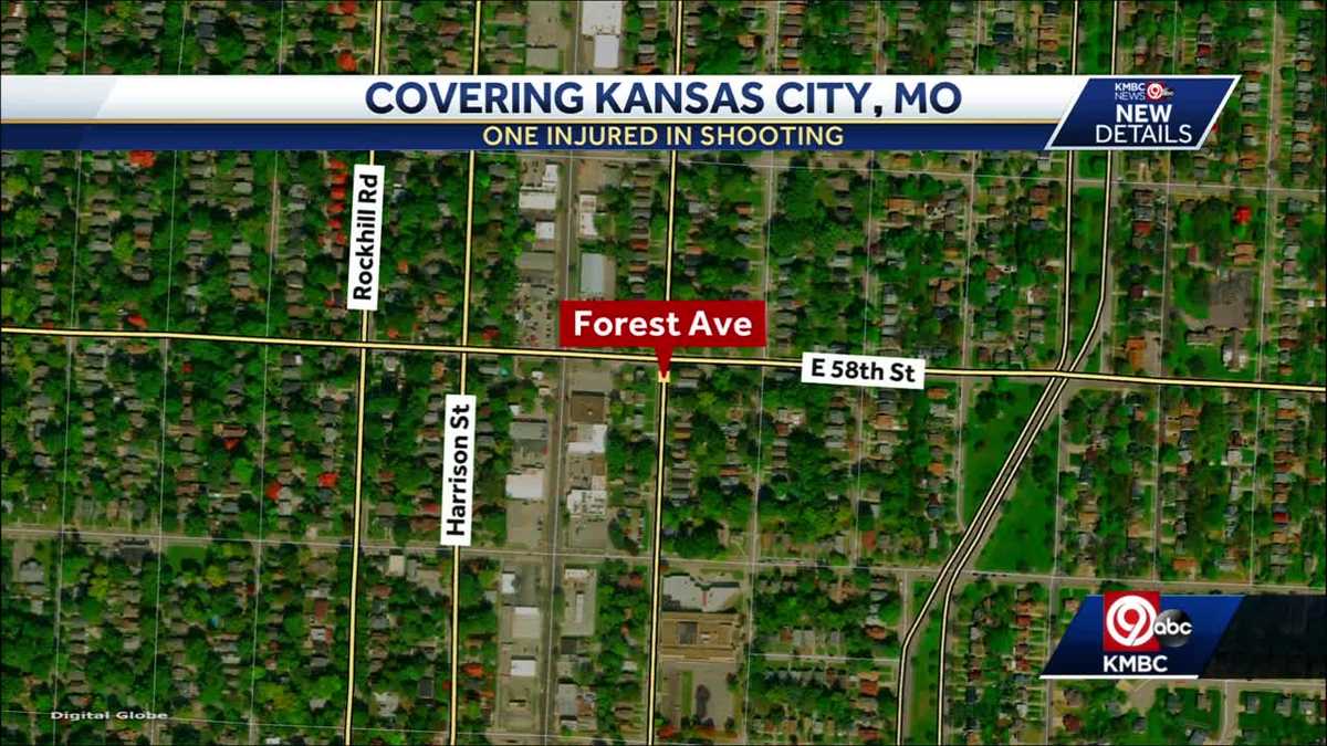 Victim critically injured in shooting near E. 58th and Forest Avenue