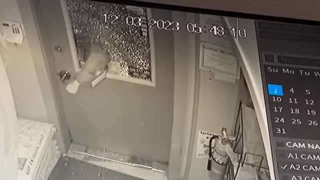 Police seek public assistance locating stolen dump truck - Vimarsana News