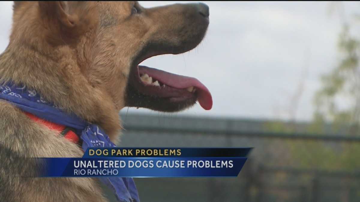Sign confusion causes problems at Rio Rancho dog parks