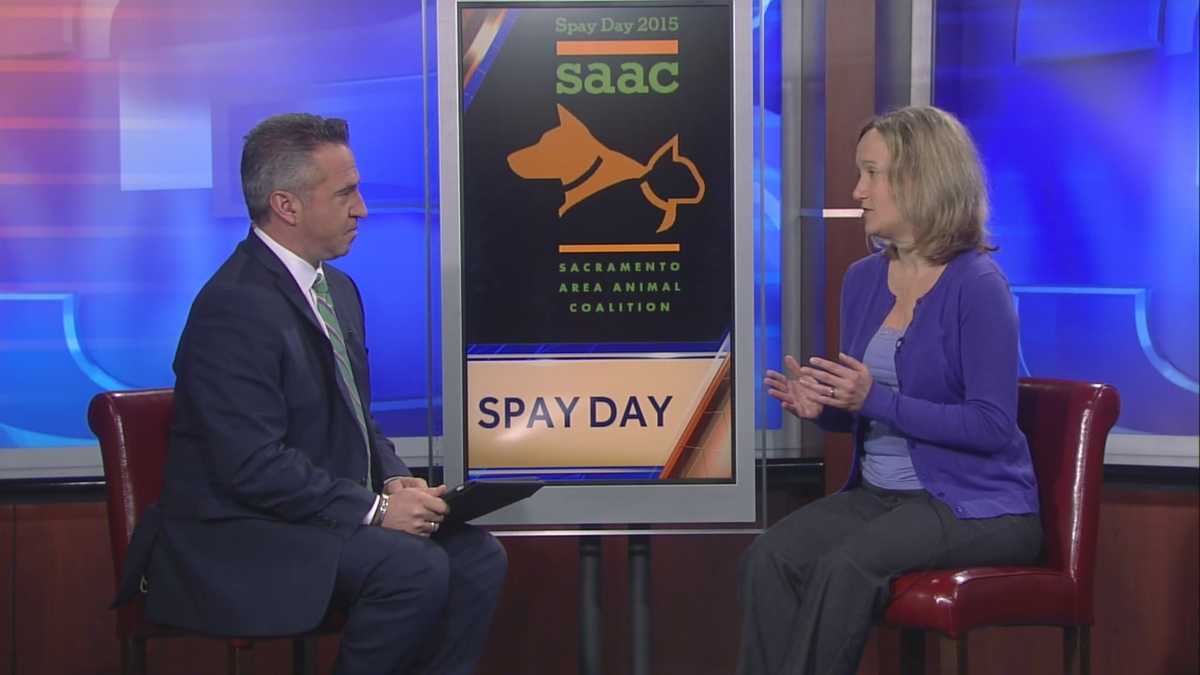 Spay Day Sacramento now taking applications