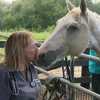 Sanctuary cares for malnourished horses surrendered in Lake County investigation