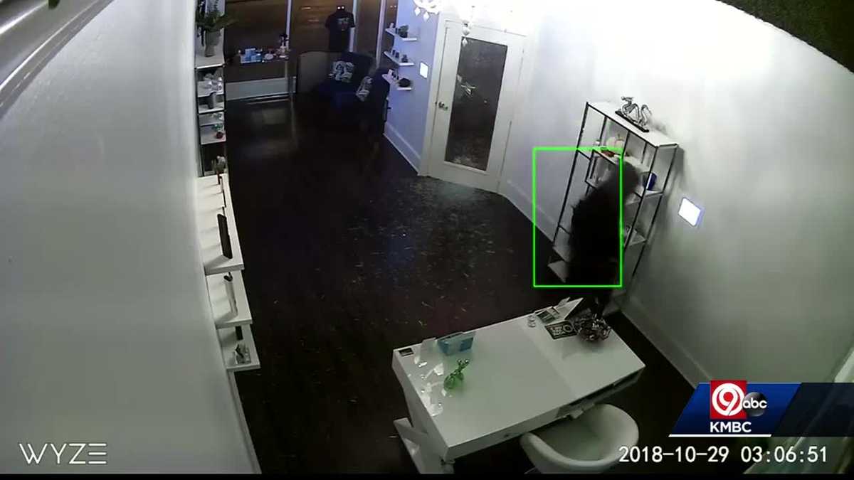 Cameras catch burglar stealing thousands of dollars in goods from Hemp Haus