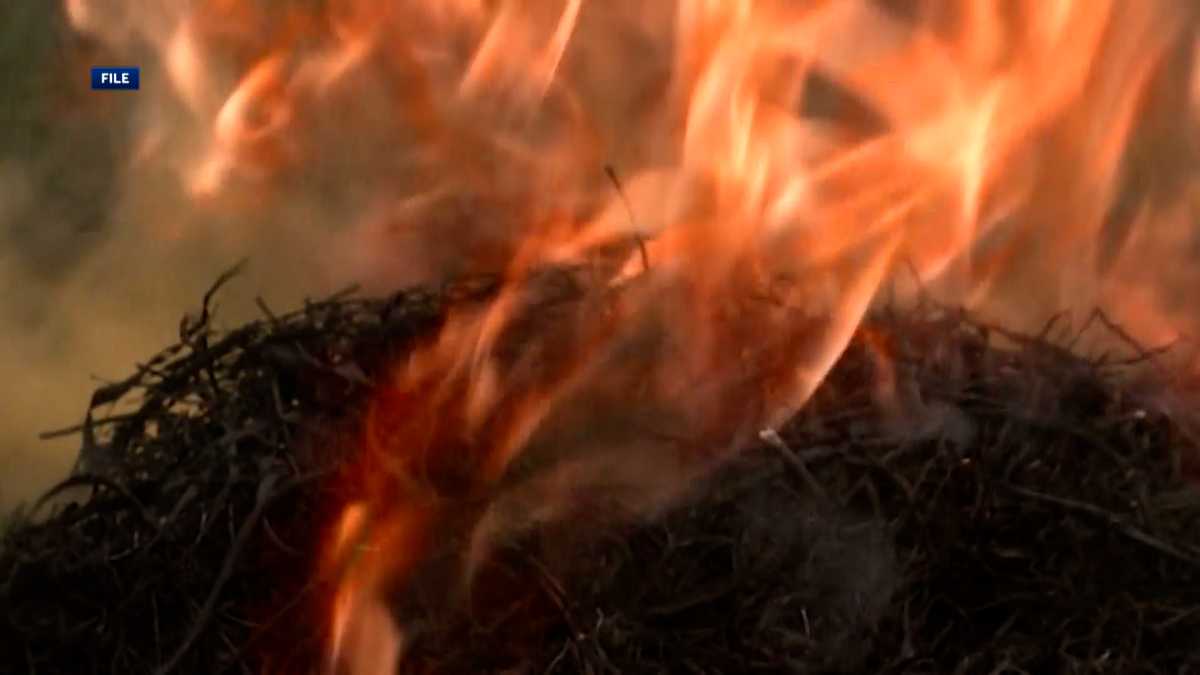 New York officials urge people to be aware of statewide burn ban