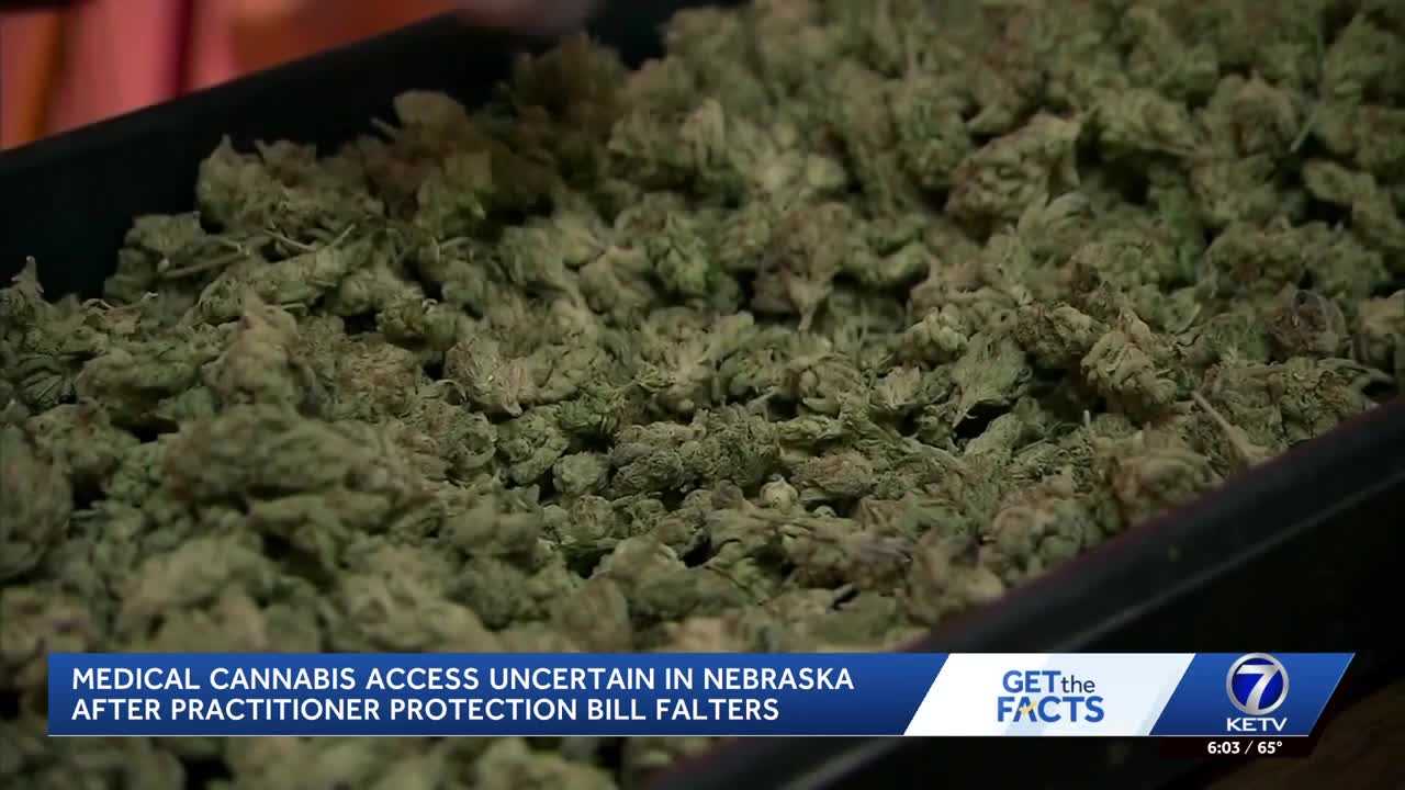 ketv.com - John Grinvalds - Slap in the face': Medical cannabis access uncertain in Nebraska
