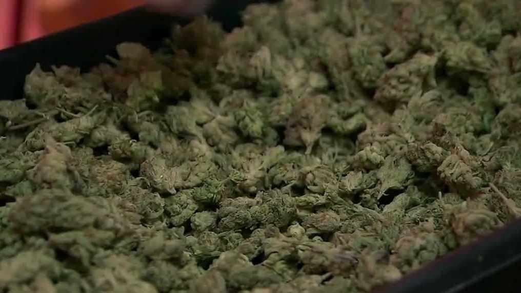 'Slap in the face': Medical cannabis access uncertain in Nebraska