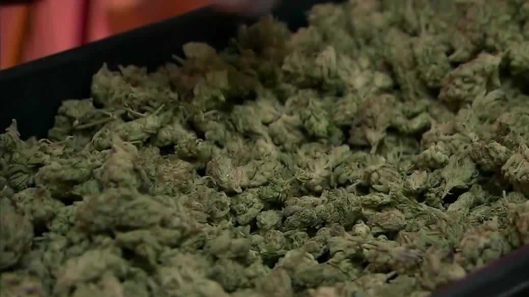 Nebraska Medical Cannabis Commission authorizes one cultivator to plant marijuana
