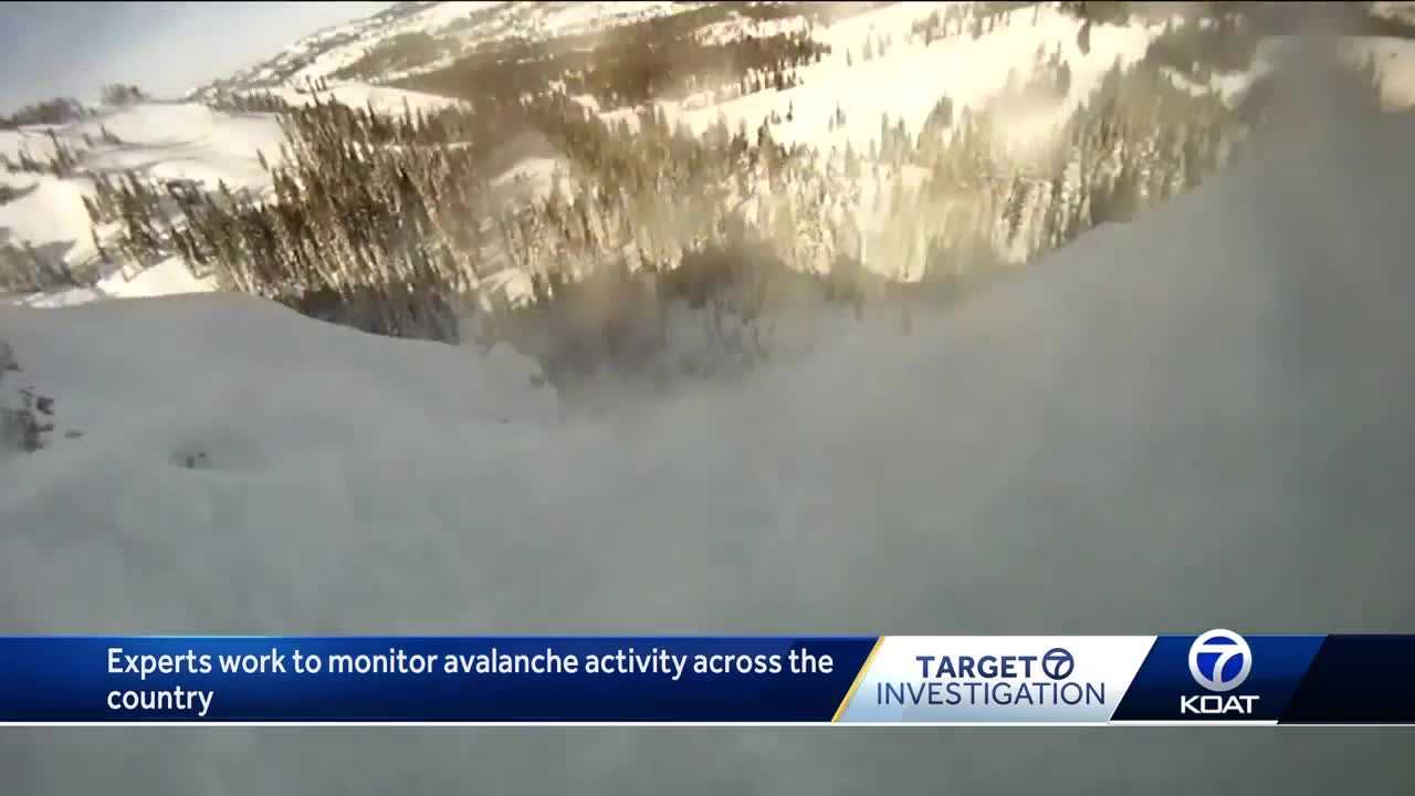 Experts Say Avalanche Deaths Extremely Rare