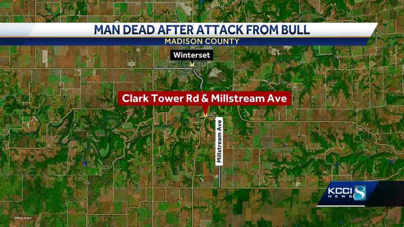 Iowa sheriff's office investigates fatal bull attack on farmer