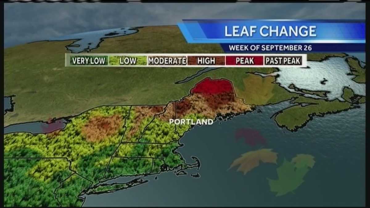 Maine's Fall Foliage Report