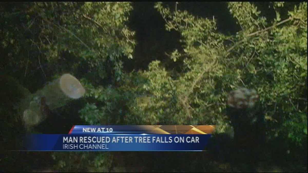 Man rescued after tree falls on car