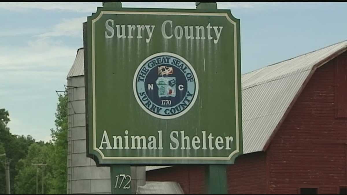 Surry County Animal Shelter Director steps down