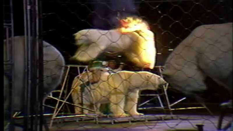 RETRO KCCI: Look back at Ringling Bros. 1981 circus at Vets Auditorium in Des Moines