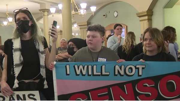 protests over gender identity bill calmer as senate subcommittee discusses issue