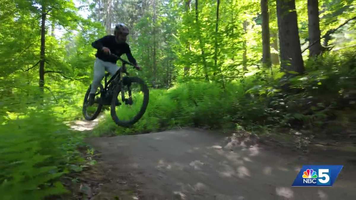 Two men fined $35k for cutting down 300+ trees to build illegal mountain bike trail in Stowe