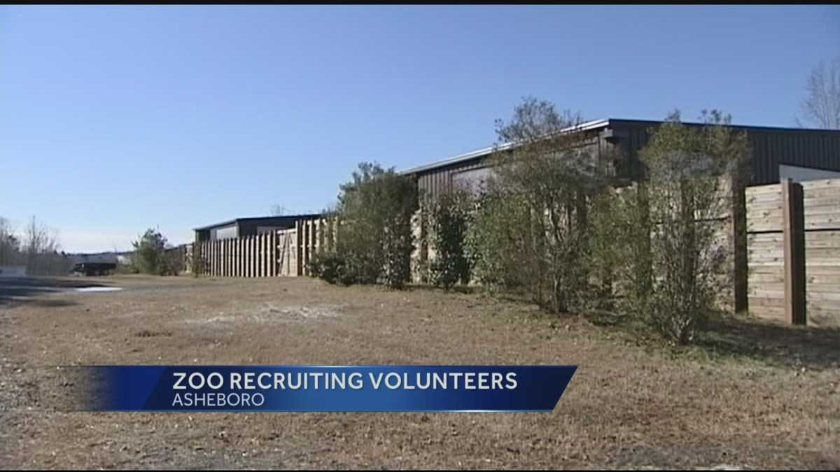 North Carolina Zoo Wants You!