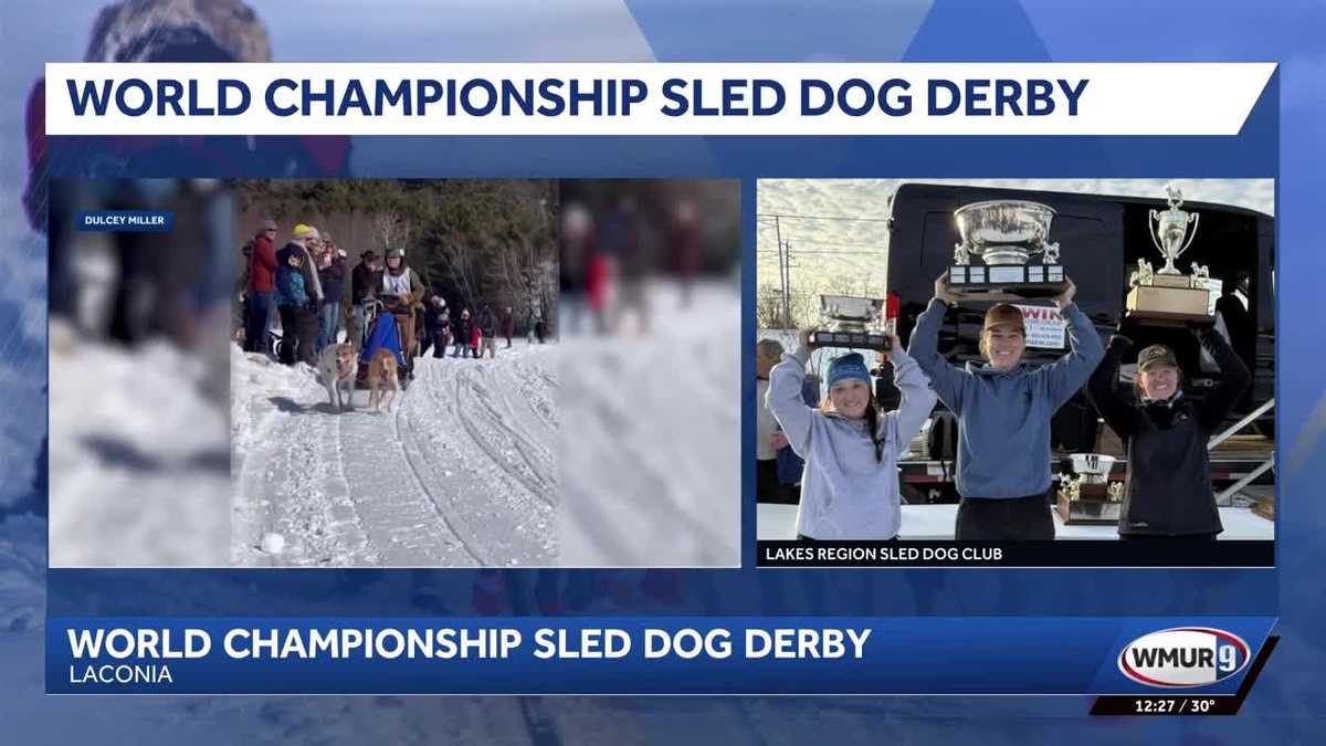 World Championship Sled Dog Derby held in Laconia over weekend