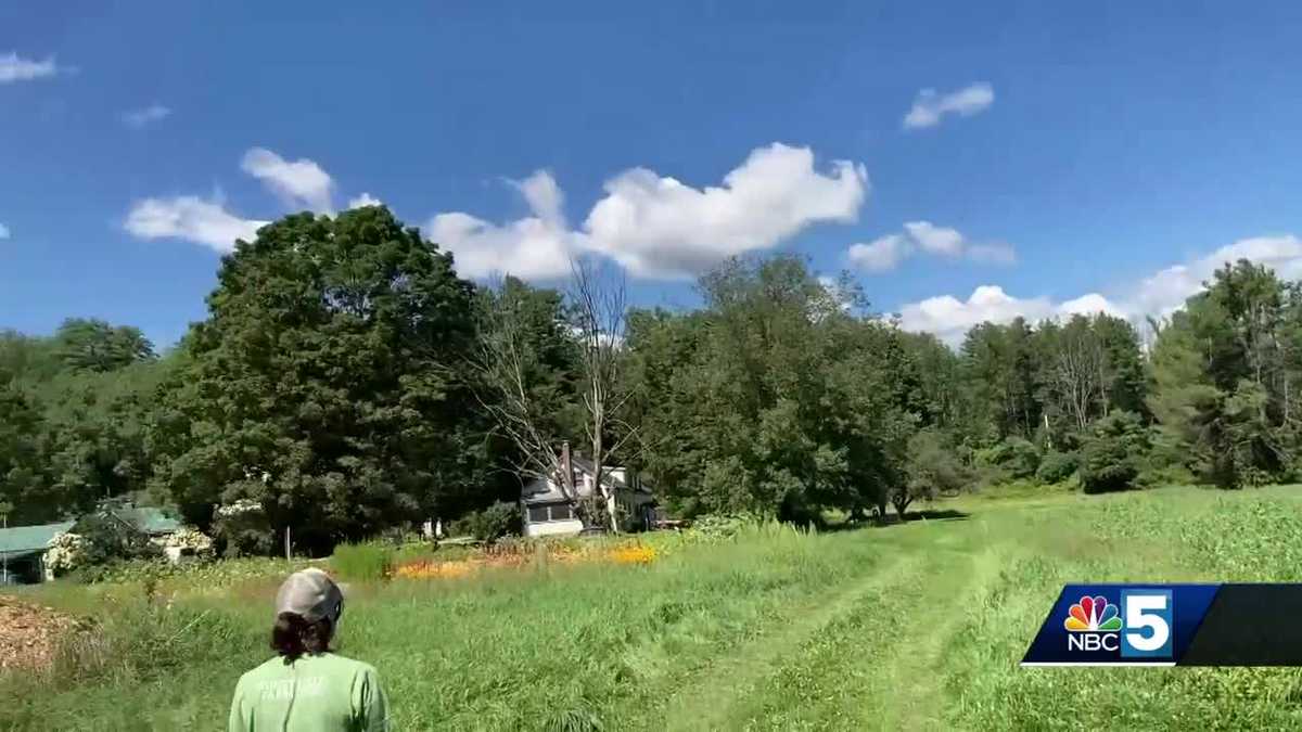 One Norwich farm is having a good year for some crops and a horrible