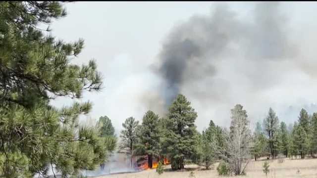 A year ago today, the state's largest wildfire took place - Vimarsana News