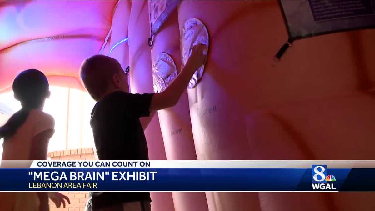 'Mega Brain' exhibit explains brain functions and disease