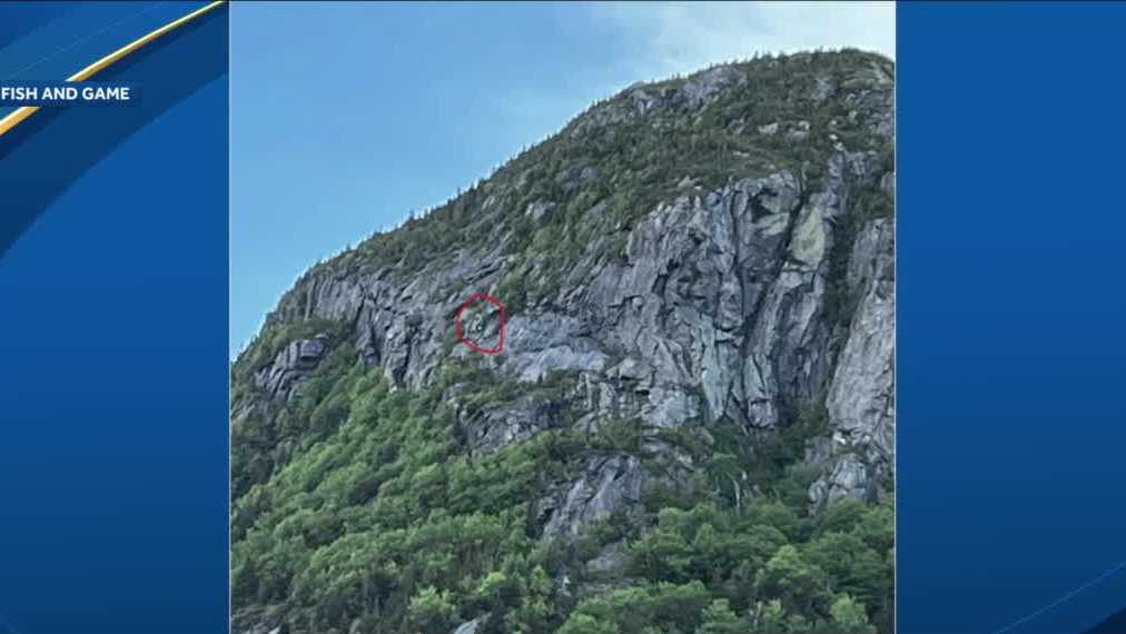 New Hampshire hikers fined after 'dangerous' rescue