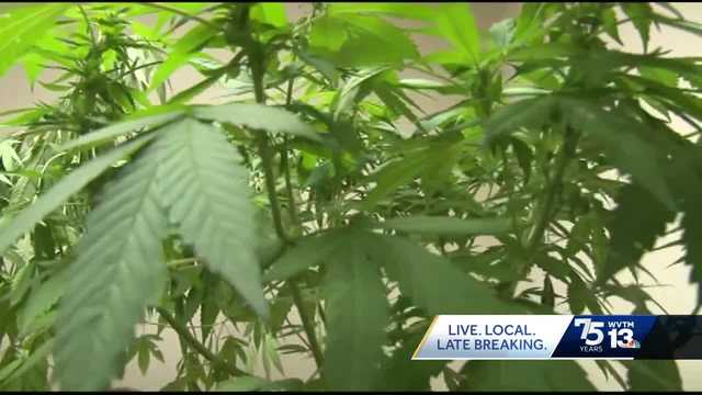 Slow progress in Alabama's medical marijuana industry - Vimarsana News