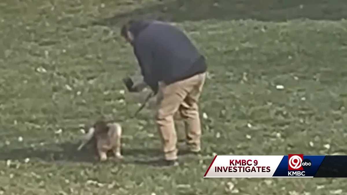 Pleasant Hill dog trainer facing animal abuse charge and more
