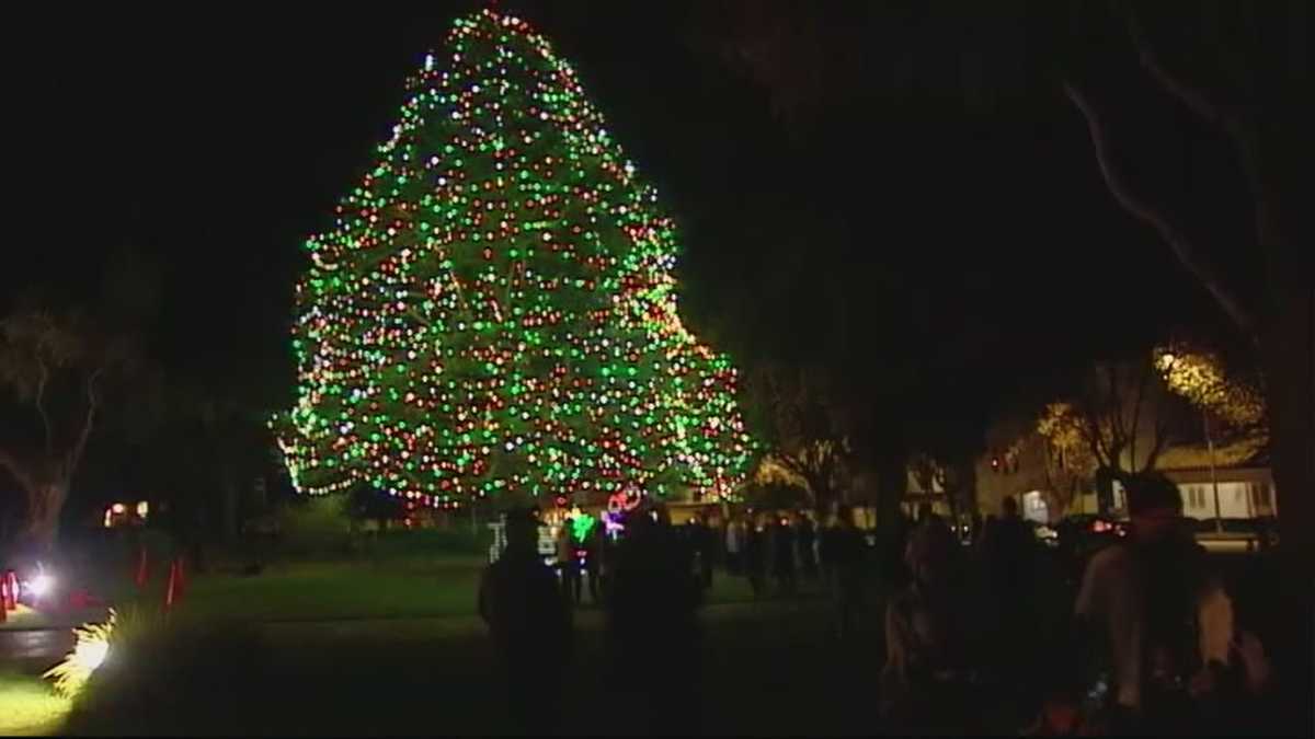 Monterey lights city Christmas tree