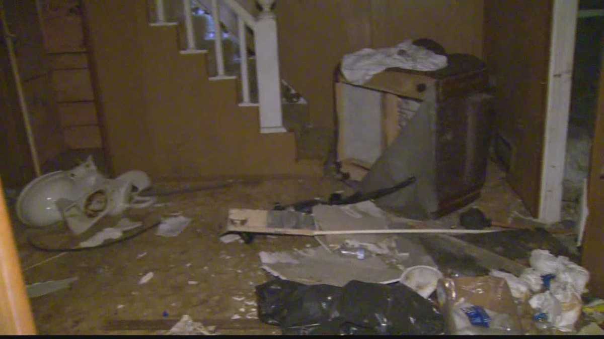 North Braddock blight