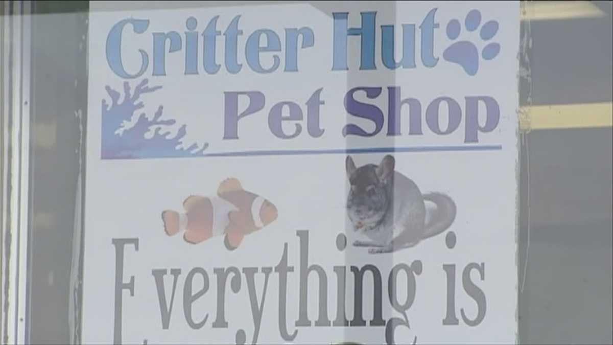 Plattsburgh pet shop update