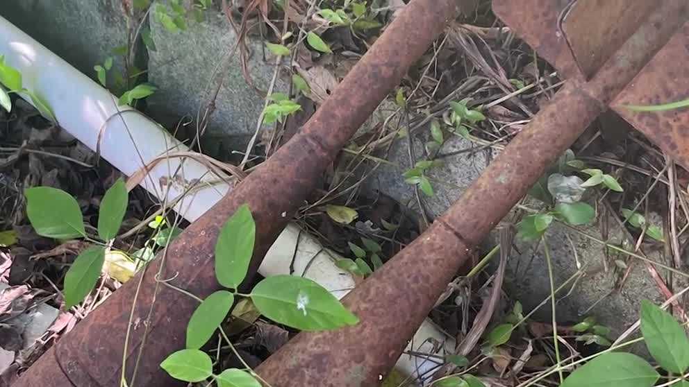 Couple finds WWII bombs in backyard of vacation home