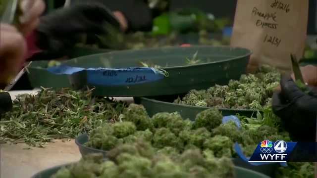 South Carolina: Medical marijuana bill tabled at Statehouse - Vimarsana News