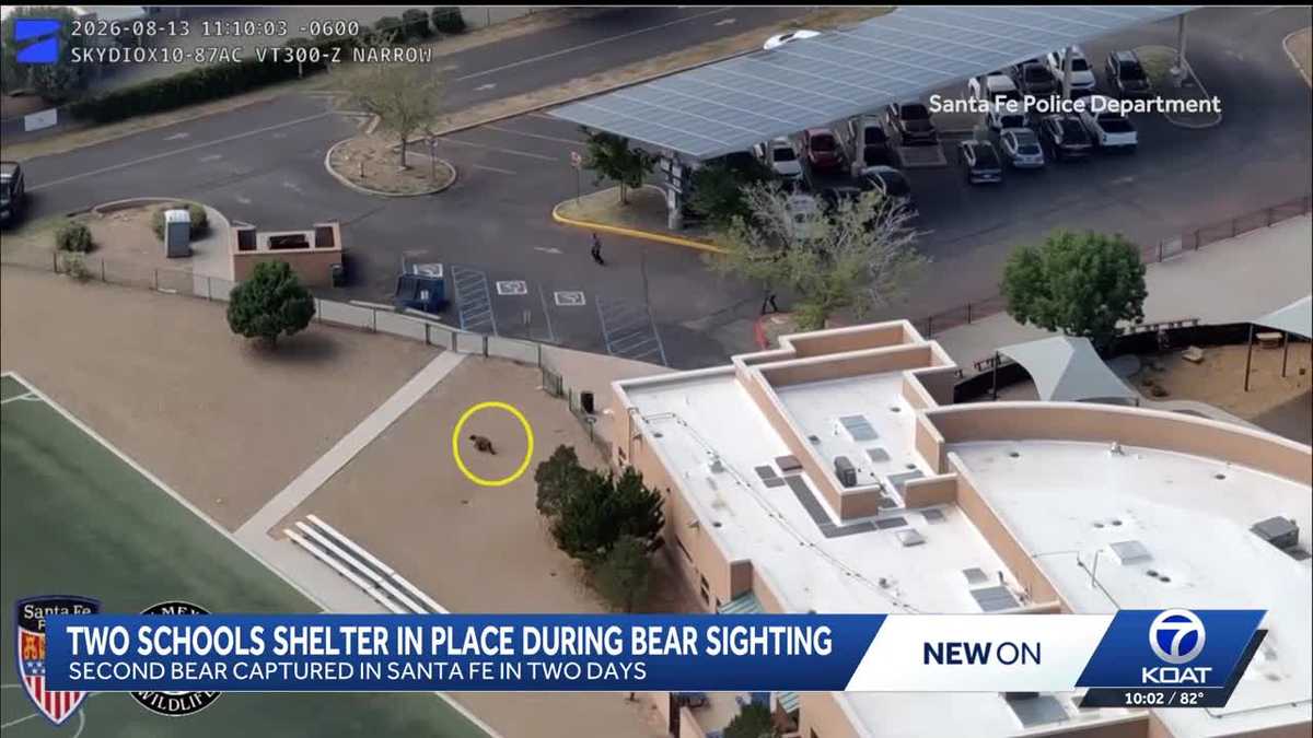 Bear sighting prompts shelter-in-place orders at two Santa Fe schools
