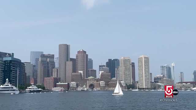 Summer fun in the city without the traffic - Vimarsana News