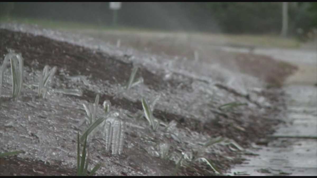 Snow flurry spotted in Jacksonville