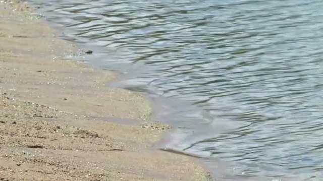 Missouri resident infected by suspected brain-eating amoeba﻿ in Iowa lake has died - Vimarsana News