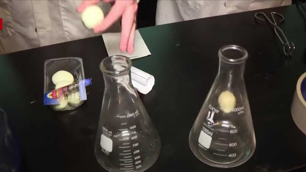 IMAG celebrates National Vacuum Day