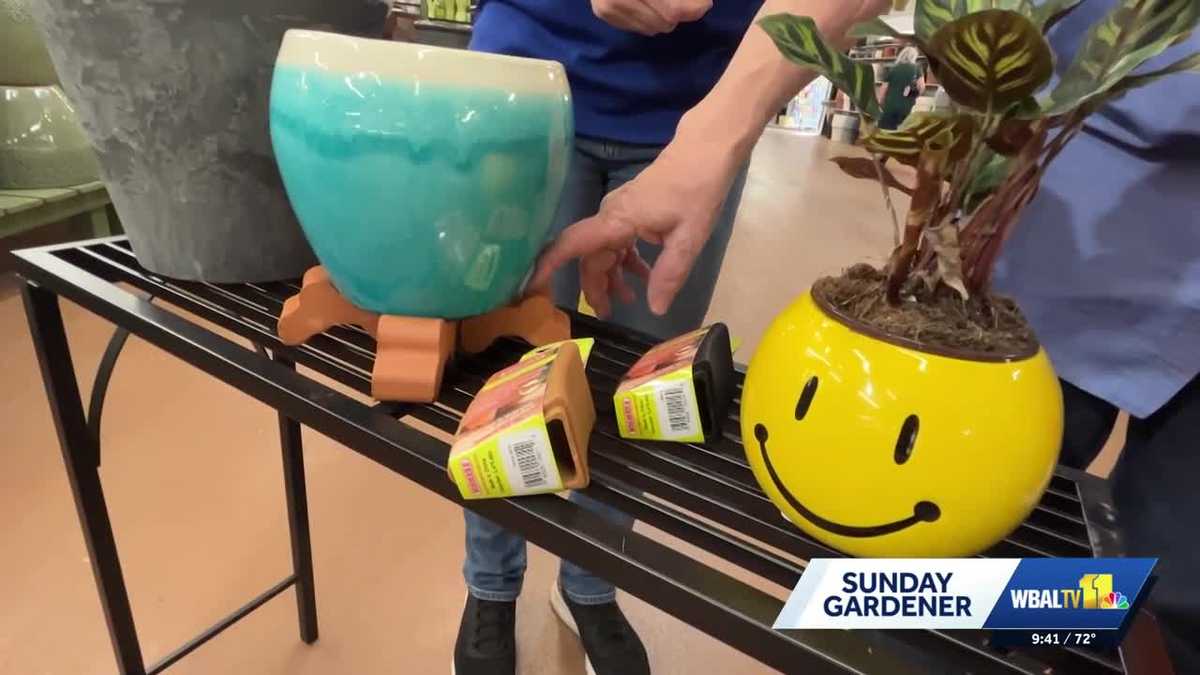 Valley View Farms: Picking the right pottery for your plants