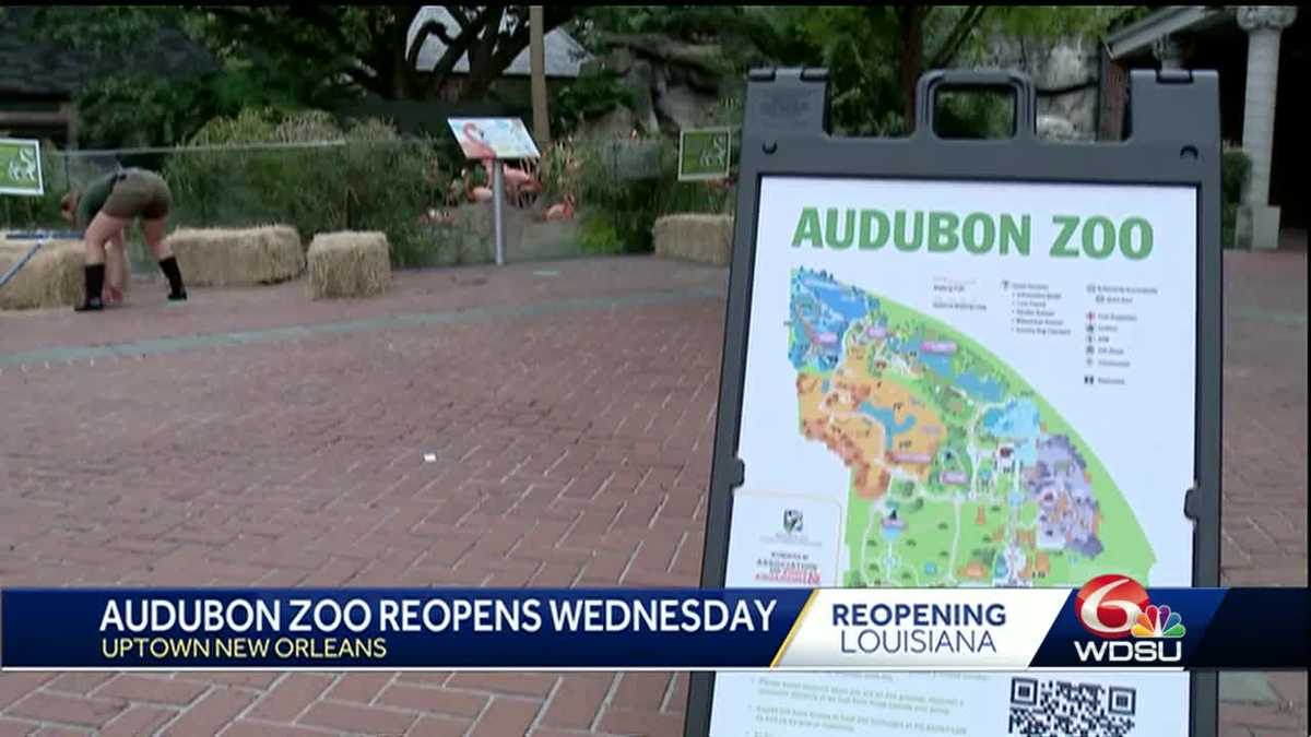 WATCH Here is a first look at the Audubon Zoo ahead of its reopening