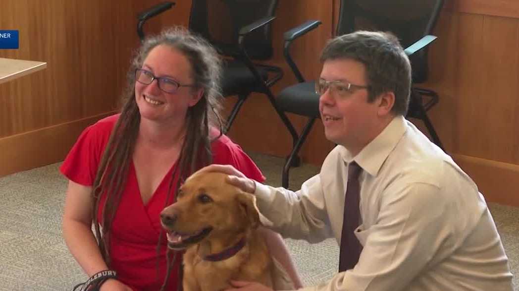 Pup-lic Office: Search begins for 2026 Dog Mayor in Middlebury