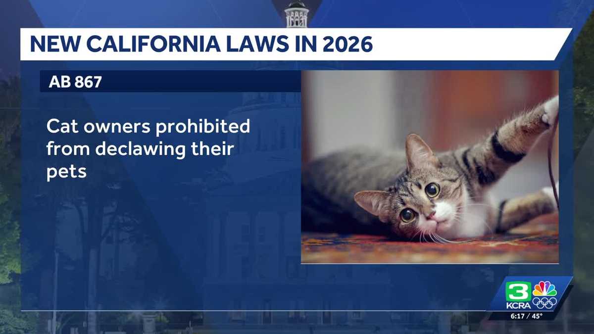 California's new laws for 2026 include insulin co-pay cap, declawing ban, grocery plastic bag ban